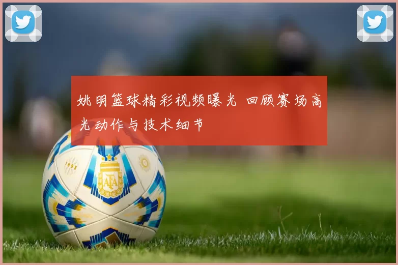 姚明篮球精彩视频曝光 回顾赛场高光动作与技术细节